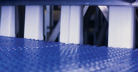 Image hover effect image